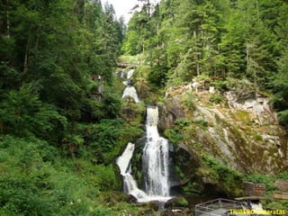 TRIBERG Cataratas
 