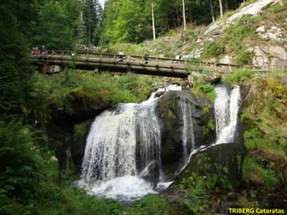 TRIBERG Cataratas
 
