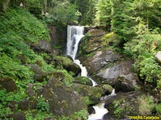 TRIBERG Cataratas
 