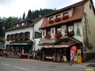 TRIBERG
 