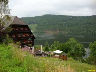 TITISEE
 
