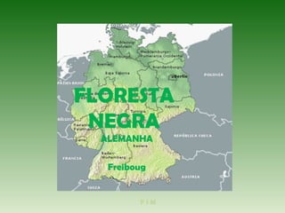 FLORESTA
NEGRA
ALEMANHA
Freiboug
F I M
 