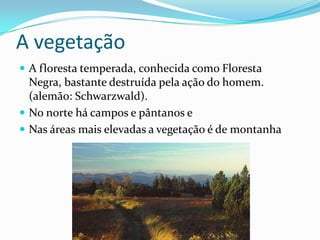 A vegetação
 A floresta temperada, conhecida como Floresta
  Negra, bastante destruída pela ação do homem.
  (alemão: Schwarzwald).
 No norte há campos e pântanos e
 Nas áreas mais elevadas a vegetação é de montanha
 