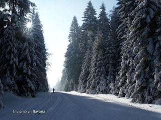 Invierno en Bavaria 