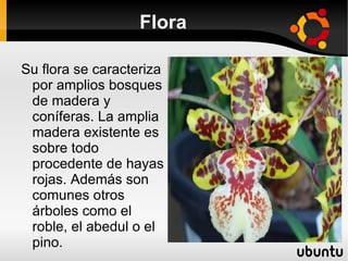 Flora

Su flora se caracteriza
 por amplios bosques
 de madera y
 coníferas. La amplia
 madera existente es
 sobre todo
 procedente de hayas
 rojas. Además son
 comunes otros
 árboles como el
 roble, el abedul o el
 pino.
 