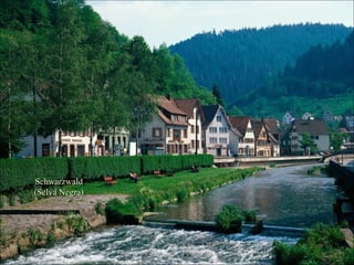 Schwarzwald
(Selva Negra)

 