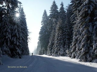 Invierno en Bavaria

 