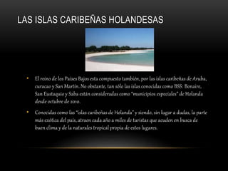 LAS ISLAS CARIBEÑAS HOLANDESAS
• El reino de los Países Bajos esta compuesto también, por las islas caribeñas de Aruba,
curacao y San Martín. No obstante, tan sólo las islas conocidas como BSS: Bonaire,
San Eustaquio y Saba están consideradas como “municipios especiales” de Holanda
desde octubre de 2010.
• Conocidas como las “islas caribeñas de Holanda” y siendo, sin lugar a dudas, la parte
más exótica del país, atraen cada año a miles de turistas que acuden en busca de
buen clima y de la naturales tropical propia de estos lugares.
 