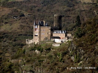 Burg Katz - am Rhein 
