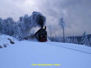 Tren del Brocken / Harz 