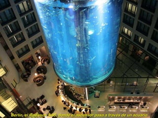 Berlin, el Radisson SAS, donde el ascensor pasa a través de un acuario 