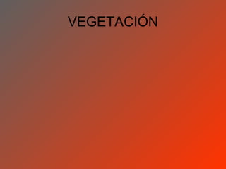 VEGETACIÓN
 