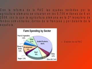 C o n la re fo r m a d e la P A C la s a y u d a s                    r e c ib id a s p o r la
a g r ic u ltu ra a le m a n a s e s itu a r o n e n lo s 5 .7 5    6 m illo n e s d e € e n
2 0 0 8 , c o n lo q u e la a g r ic u ltu r a a le m a n a e s      la 2 ª re c e p to r a d e
fo n d o s c o m u n ita r io s , d e tr á s d e la fra n c e s a   y p o r d e la n te d e la
e s p a ñ o la .



                                                               ← G a s t o s d e la P A C
 