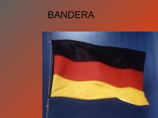 BANDERA
 