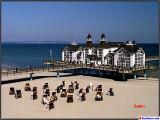Sellin 