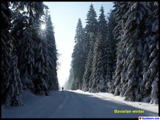 Bavarian winter 