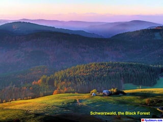 Schwarzwald, the Black Forest 