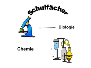 Biologie




Chemie
 