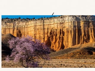 ❖ Die Landschaft in Teneriffa ist sehr anders als in Teruel.
 