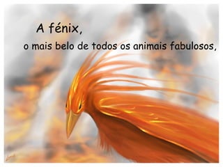 A fénix, o mais belo de todos os animais fabulosos, 