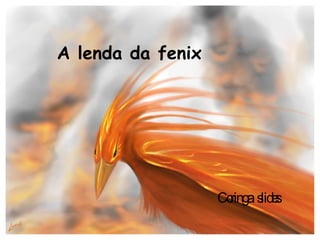 A lenda da fenix Coringa  slides 