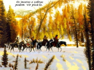 Os insetos e cobras  podem  vir picá-lo. 