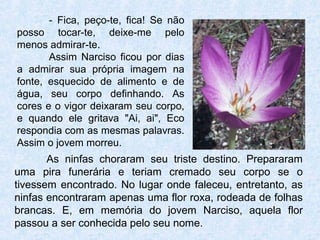 - Fica, peço-te, fica! Se não
posso tocar-te, deixe-me pelo
menos admirar-te.
Assim Narciso ficou por dias
a admirar sua própria imagem na
fonte, esquecido de alimento e de
água, seu corpo definhando. As
cores e o vigor deixaram seu corpo,
e quando ele gritava "Ai, ai", Eco
respondia com as mesmas palavras.
Assim o jovem morreu.
As ninfas choraram seu triste destino. Prepararam
uma pira funerária e teriam cremado seu corpo se o
tivessem encontrado. No lugar onde faleceu, entretanto, as
ninfas encontraram apenas uma flor roxa, rodeada de folhas
brancas. E, em memória do jovem Narciso, aquela flor
passou a ser conhecida pelo seu nome.
 
