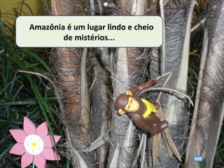 A Amazônia é um lugar lindo e cheio
de mistérios...
 