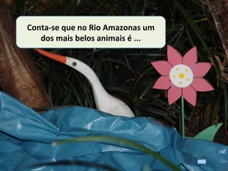 Conta-se que no Rio Amazonas um
dos mais belos animais é ...
 