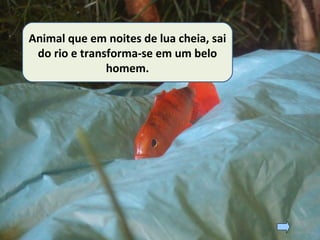 Animal que em noites de lua cheia, sai
do rio e transforma-se em um belo
homem.
 