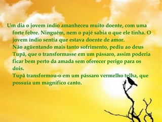 Um dia o jovem índio amanheceu muito doente, com uma
forte febre. Ninguém, nem o pajé sabia o que ele tinha. O
jovem índio sentia que estava doente de amor. 
Não agüentando mais tanto sofrimento, pediu ao deus
Tupã, que o transformasse em um pássaro, assim poderia
ficar bem perto da amada sem oferecer perigo para os
dois. 
Tupã transformou-o em um pássaro vermelho telha, que
possuía um magnifico canto. 
 