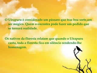 O Uirapuru é considerado um pássaro que traz boa sorte,um
ser mágico. Quem o encontra pode fazer um pedido que
se tornará realidade. 
Os nativos da floresta relatam que quando o Uirapuru
canta, toda a floresta fica em silêncio rendendo-lhe
homenagem.
 