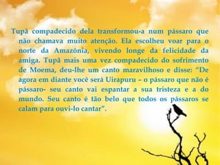 Tupã compadecido dela transformou-a num pássaro que
não chamava muito atenção. Ela escolheu voar para o
norte da Amazônia, vivendo longe da felicidade da
amiga. Tupã mais uma vez compadecido do sofrimento
de Moema, deu-lhe um canto maravilhoso e disse: “De
agora em diante você será Uirapuru – o pássaro que não é
pássaro- seu canto vai espantar a sua tristeza e a do
mundo. Seu canto é tão belo que todos os pássaros se
calam para ouvi-lo cantar”.
 