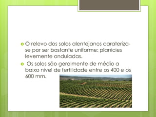  O relevo dos solos alentejanos carateriza-
se por ser bastante uniforme: planicies
levemente onduladas.
 Os solos são geralmente de médio a
baixo nivel de fertilidade entre os 400 e os
600 mm.
 