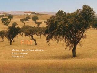 Música : Negro Fado-Vitorino
Fotos :Internet
Tributo a JC
 