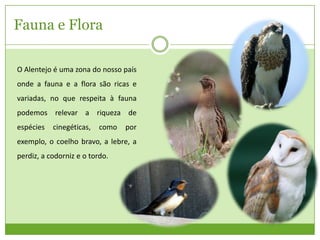 Fauna e Flora
O Alentejo é uma zona do nosso país

onde a fauna e a flora são ricas e
variadas, no que respeita à fauna
podemos relevar a riqueza de
espécies

cinegéticas,

como

por

exemplo, o coelho bravo, a lebre, a
perdiz, a codorniz e o tordo.

 