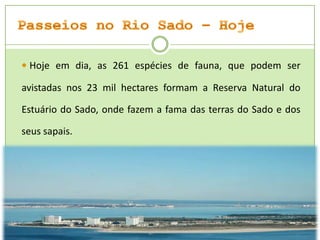  Hoje em dia, as 261 espécies de fauna, que podem ser

avistadas nos 23 mil hectares formam a Reserva Natural do
Estuário do Sado, onde fazem a fama das terras do Sado e dos
seus sapais.

 