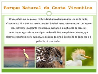 Uma espécie rara de polvos, conhecida há pouco tempo apenas na costa oesteafricana e nas Ilhas de Cabo Verde, também é visível neste parque natural. Um aspeto
especialmente importante em relação à avifauna é a nidificação de espécies
raras, como a garça branca e a águia de Bonelli. Outras espécies existentes, que

raramente criam no litoral europeu, são a garça boieira, o peneireiro de dorso liso e a
gralha de bico vermelho.

 