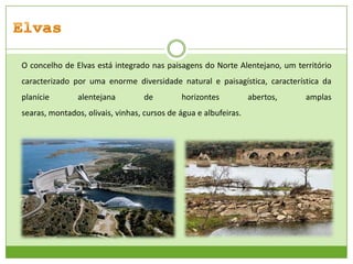 O concelho de Elvas está integrado nas paisagens do Norte Alentejano, um território
caracterizado por uma enorme diversidade natural e paisagística, característica da
planície

alentejana

de

horizontes

searas, montados, olivais, vinhas, cursos de água e albufeiras.

abertos,

amplas

 