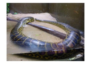 Imagens da Viagem ao Alentejo 1