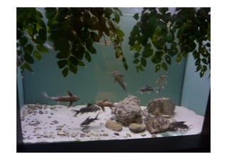 Imagens da Viagem ao Alentejo 1