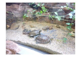 Imagens da Viagem ao Alentejo 1