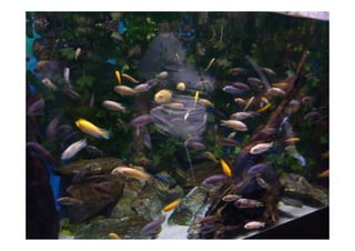 Imagens da Viagem ao Alentejo 1