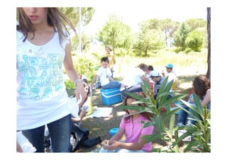 Imagens da Viagem ao Alentejo 1