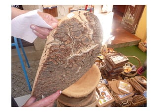 Imagens da Viagem ao Alentejo 1