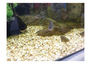 Imagens da Viagem ao Alentejo 1