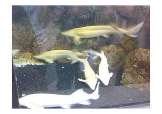 Imagens da Viagem ao Alentejo 1