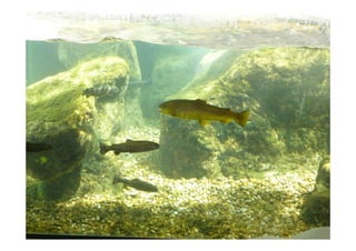 Imagens da Viagem ao Alentejo 1