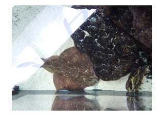 Imagens da Viagem ao Alentejo 1