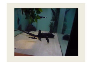 Imagens da Viagem ao Alentejo 1